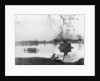 Jhelum river, Shadipur, Kashmir, India by F Bremner