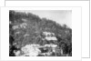 'Elysium Hotel, houses on the nothern slopes of Jakko', Shimla, India by Anonymous