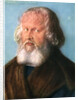 Hieronymus Holzschuher by Albrecht Dürer