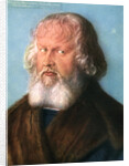 Hieronymus Holzschuher by Albrecht Dürer