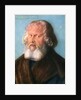 Hieronymus Holzschuher by Albrecht Dürer