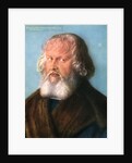 Hieronymus Holzschuher by Albrecht Dürer