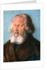 Hieronymus Holzschuher by Albrecht Dürer