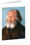 Hieronymus Holzschuher by Albrecht Dürer