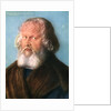 Hieronymus Holzschuher by Albrecht Dürer