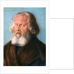 Hieronymus Holzschuher by Albrecht Dürer