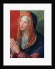 Praying Mary by Albrecht Dürer