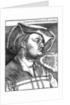 Ulrich Varnbüler by Albrecht Dürer