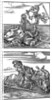 Tournament scenes by Albrecht Dürer