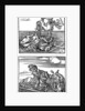 Tournament scenes by Albrecht Dürer