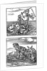 Tournament scenes by Albrecht Dürer