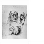 Self Portrait with a Pillow by Albrecht Dürer