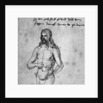 'Self Portrait', about 1512-1513 or 1519 by Albrecht Dürer