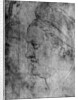 Willibald Pirckheimer by Albrecht Dürer