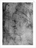Willibald Pirckheimer by Albrecht Dürer