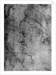 Willibald Pirckheimer by Albrecht Dürer
