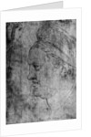 Willibald Pirckheimer by Albrecht Dürer