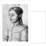Head of a Girl by Albrecht Dürer