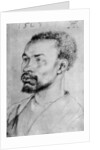 Portrait of a Negro by Albrecht Dürer