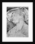 Ulrich Varnbüler by Albrecht Dürer