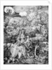 The Virgin and many animals by Albrecht Dürer