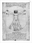 Proportions of the human figure by Albrecht Dürer