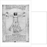 Proportions of the human figure by Albrecht Dürer