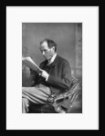 James Payn (1830-1898), English novelist by W&D Downey
