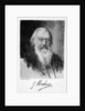 Johannes Brahms (1833-1897), German composer by Carl Jander