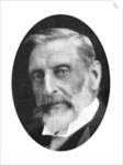 Sir Henry Rider Haggard (1856-1925), English novelist by Anonymous