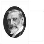 Sir Henry Rider Haggard (1856-1925), English novelist by Anonymous