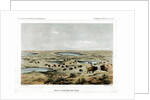 Herd of Bison Near Lake Jessie, North Dakota, USA by John Mix Stanley