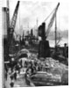 Cargo being unloaded at the docks, Upper Pool, London by Fox