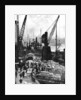 Cargo being unloaded at the docks, Upper Pool, London by Fox