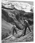 Peasant farmers haymaking at the glacier foot, Switzerland. 1936 by F Hutzli