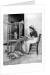 Woman weaving with straw on a hand loom, Fiesole, near Florence, Italy by Donald McLeish