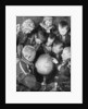 Lapp children looking at a globe by Anonymous