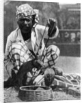 Indian snake charmer with mongoose and cobra by Fox