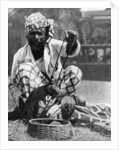 Indian snake charmer with mongoose and cobra by Fox