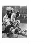 Indian snake charmer with mongoose and cobra by Fox