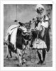 Hindu cow with sacred cow, India by Anonymous