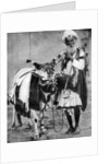 Hindu cow with sacred cow, India by Anonymous