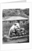 White-robed inhabitants of Korea by Wide World Photos