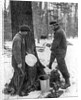 Tapping for maple syrup, Canada by Canadian Government