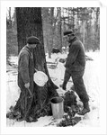 Tapping for maple syrup, Canada by Canadian Government