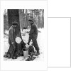 Tapping for maple syrup, Canada by Canadian Government