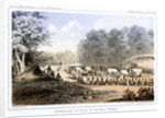Distribution of goods to the Gros Ventres 26 August 1853 by John Mix Stanley