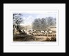 Distribution of goods to the Gros Ventres 26 August 1853 by John Mix Stanley