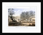 Distribution of goods to the Gros Ventres 26 August 1853 by John Mix Stanley