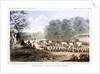 Distribution of goods to the Gros Ventres 26 August 1853 by John Mix Stanley